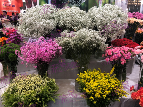 鮮花店加盟店排行榜_流星花園鮮花加盟商戶眾多大家成功開鮮花店并非偶然
